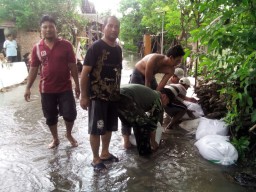 Babinsa Boro Bantu Warga Bangun Tanggul Sungai Antisipasi Banjir.