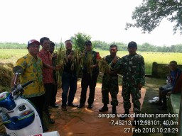 Kodim 0816 lakukan sergab di wilayah Prambon