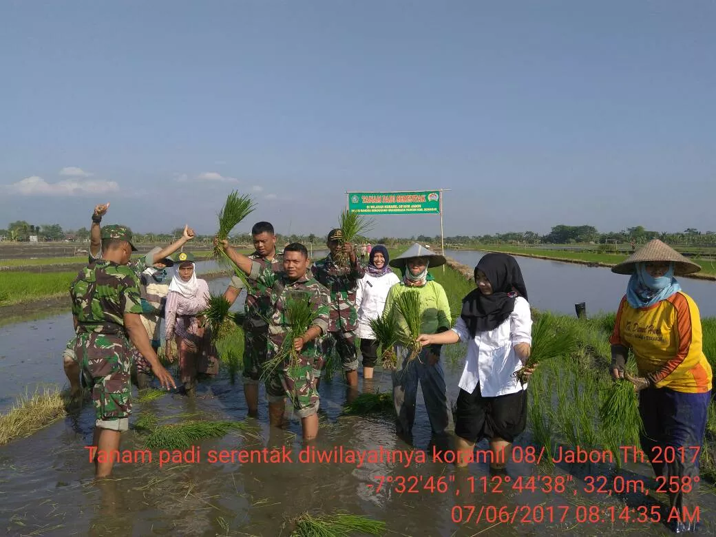 Koramil 0816/08 Jabon laksanakan tanam serentak