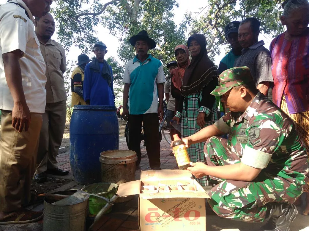 Koramil 0816/08 Jabon Melaksanakan pengawasan dan pendampingan pok tani bersama pertanian kec Jabon
