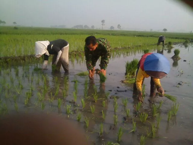 Babinsa Jalin Keakraban Dengan Petani di Desa Binaanya