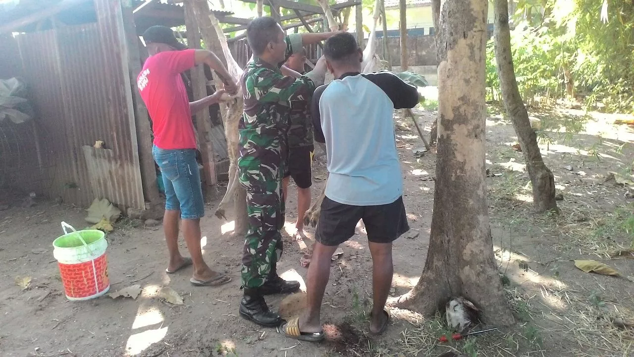 Idul Kurban, Inilah Yang Dilakukan Koramil 0816/13 Wonoayu
