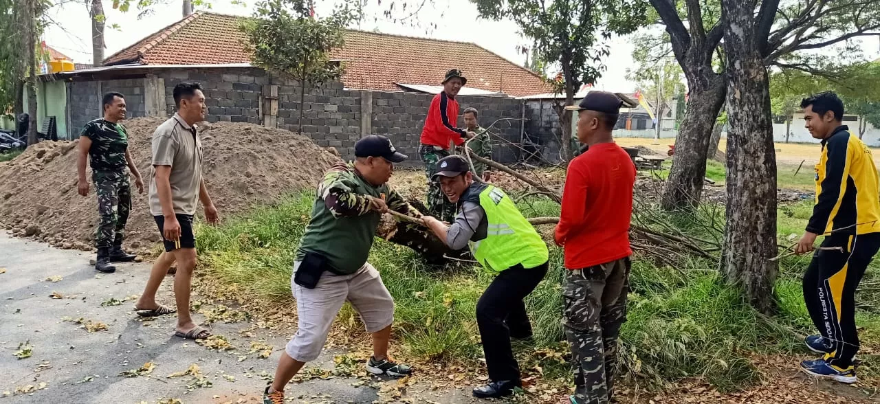 Babinsa Koramil 0816/08 Jabon Membantu Membersihkan Pohon Yang Tumbang.