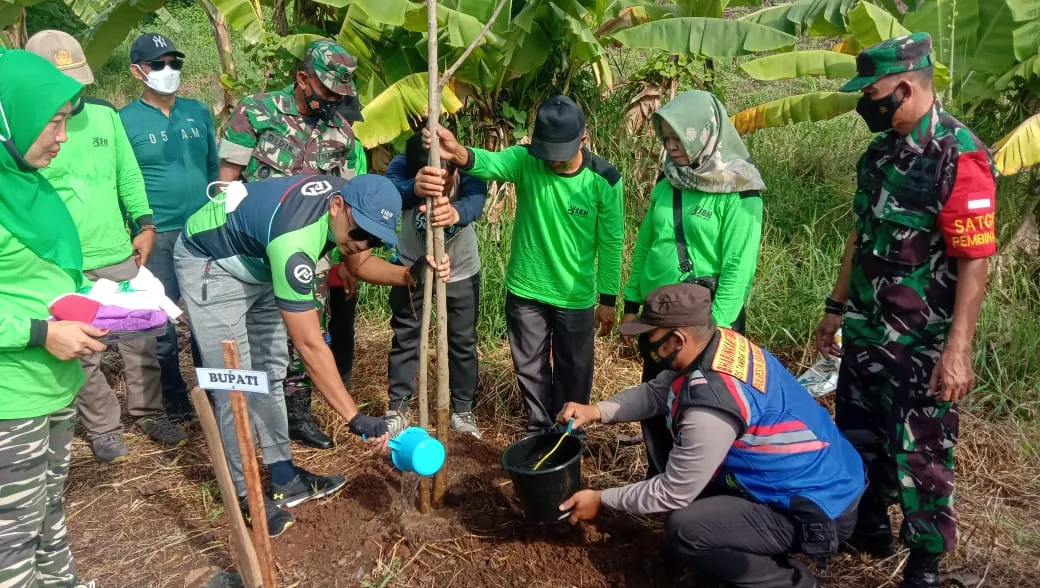 Forkopimka Jabon Beserta Bupati Sidoarjo Adakan Penghijauan.