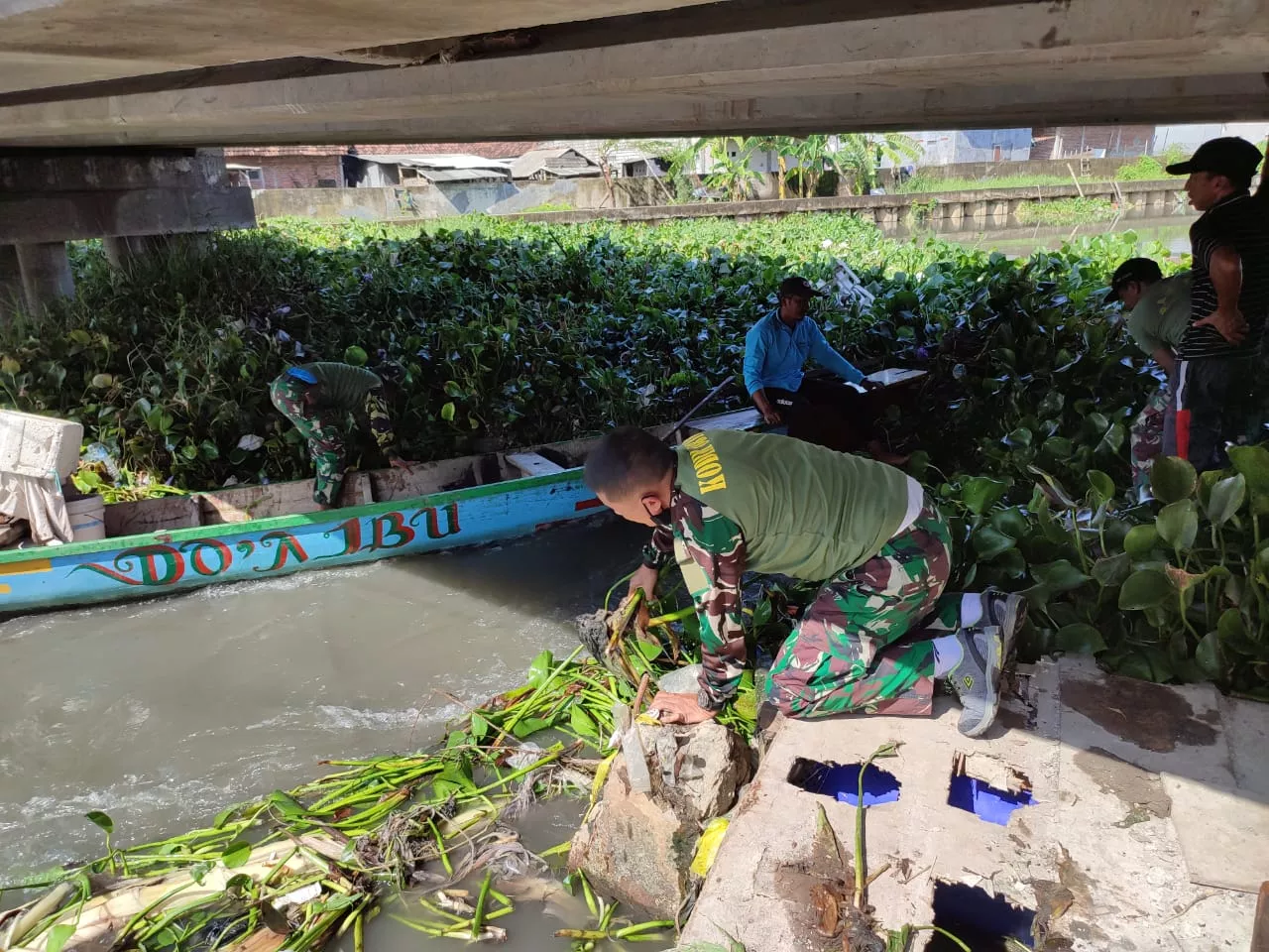 Antisipasi Banjir, Babinsa Segoro Tambak Sedati bersihkan enceng gondok