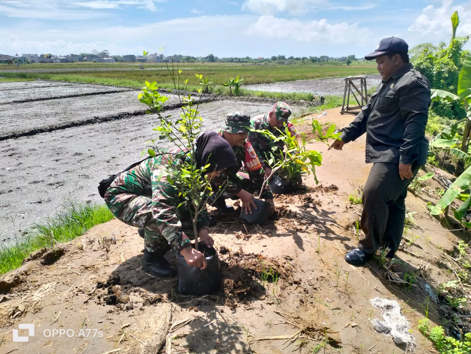Peltu K Yusti Wulandari Bersama Koramil 0816/18 Sedati dan Pemdes Desa Kwangsan Tanam Pohon untuk Dukung Penghijauan