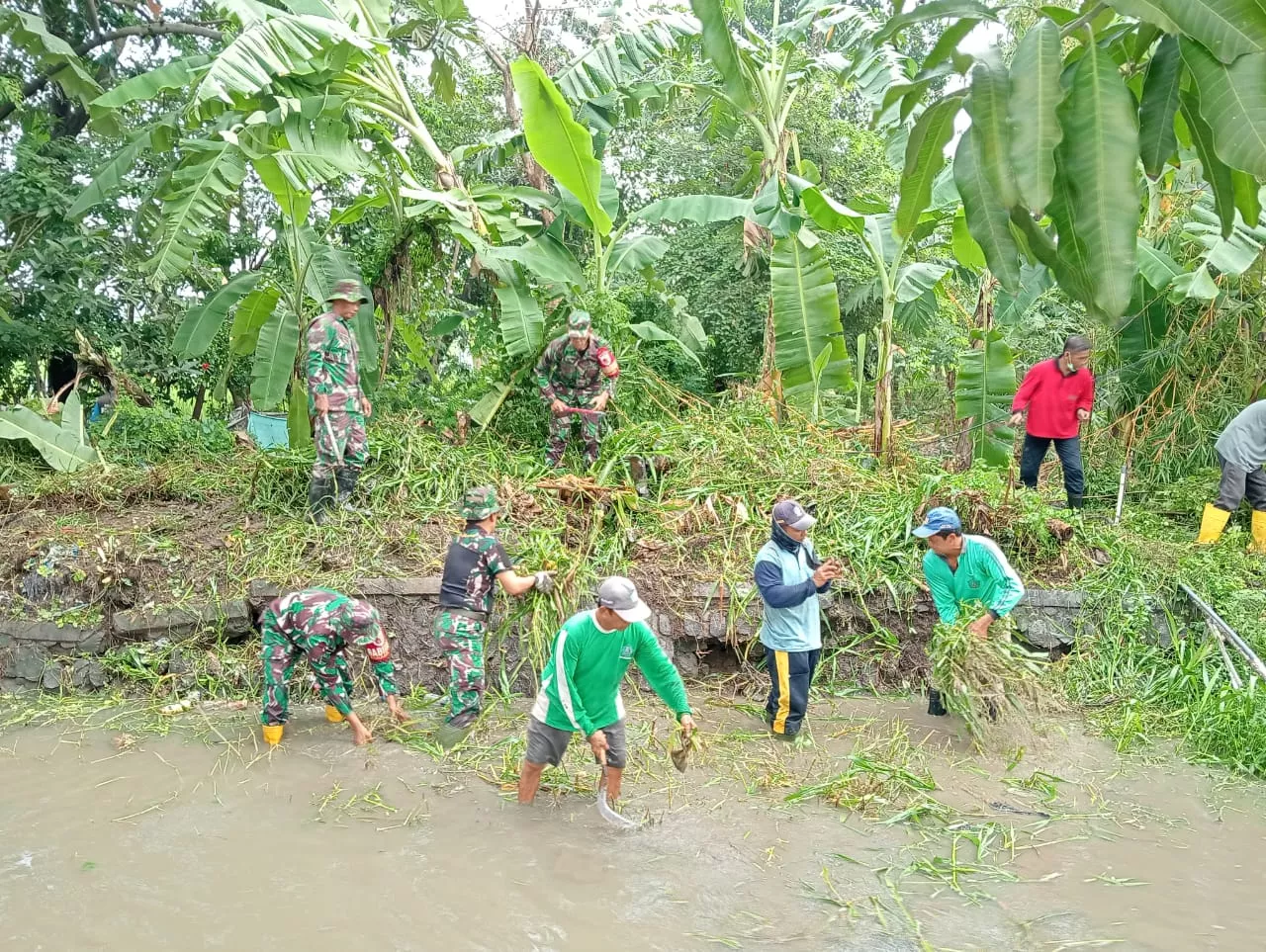 Warga Desa Pulungan Bersama Koramil 0816/18 Sedati Bersihkan Aliran Sungai dari Enceng Gondok