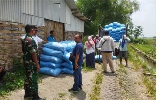 Wujudkan Ketahanan Pangan Babinsa Koramil 0816/11 Tarik Gencarkan Sergap Ke Bulog