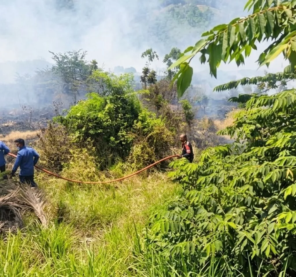 Sigap Bantu PMK, Babinsa Koramil Sidoarjo Kota Turun Padamkan Kebakaran Lahan