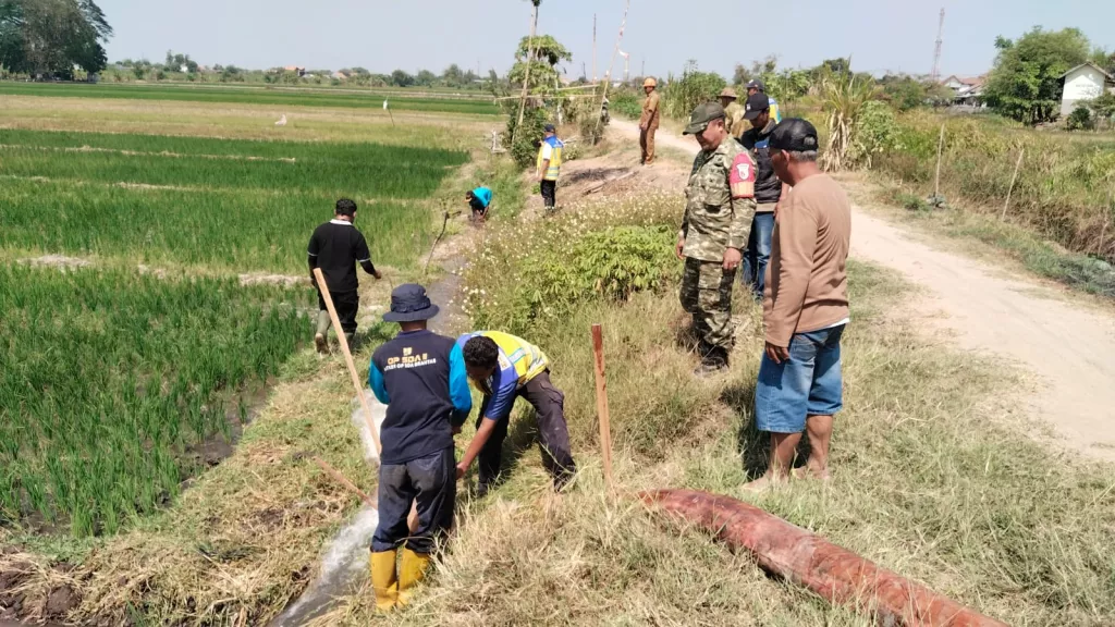 Babinsa Kemantren Dampingi Survei BBWS, Dukung Solusi Pengairan Sawah Petani