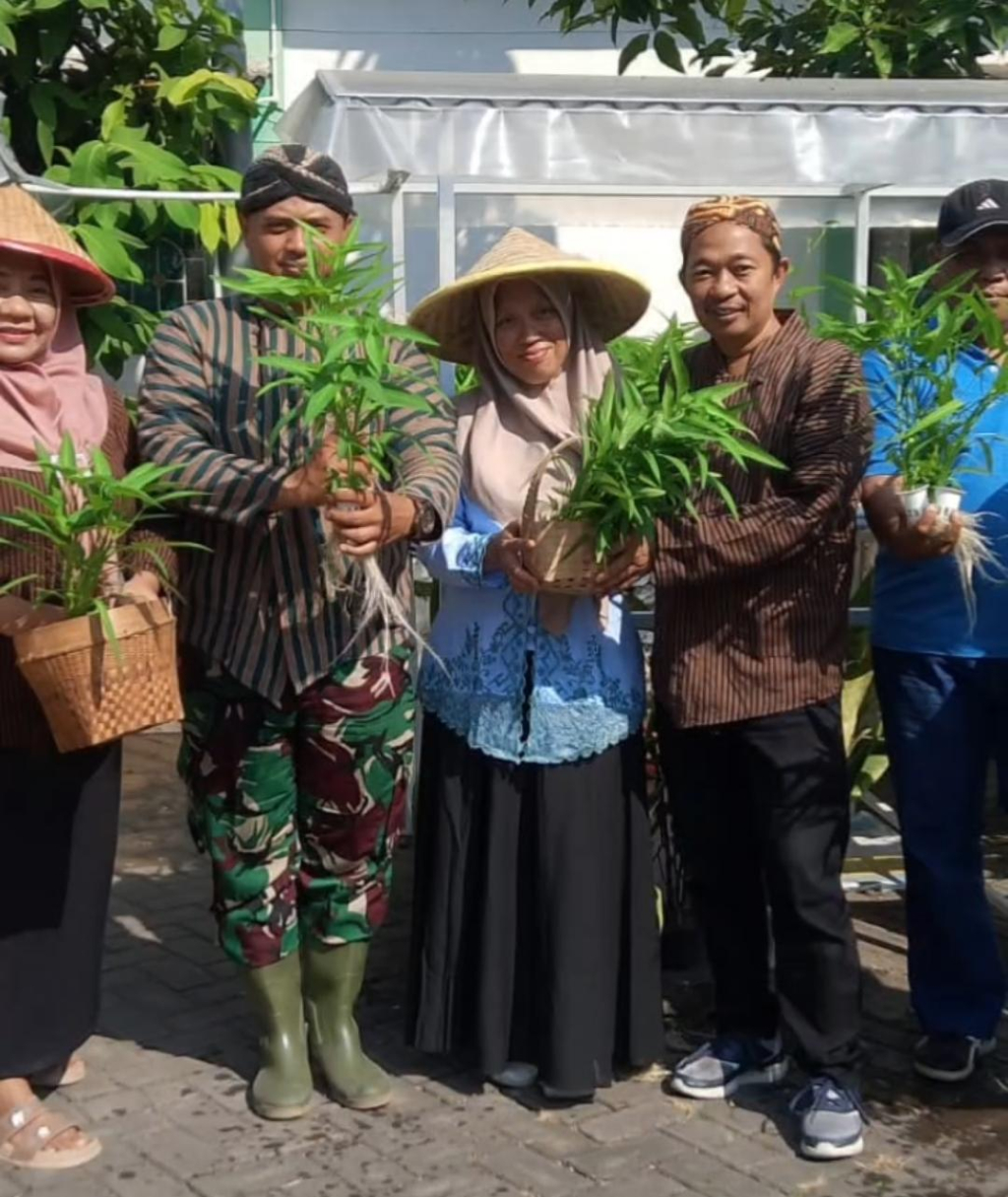 Panen Hidroponik Kelurahan Tambakkemerakan Wujudkan Ketahanan Pangan Keluarga