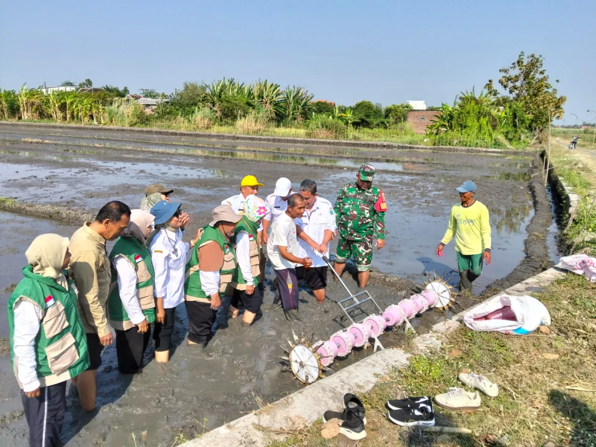 Gerakan Tanam Serempak Digelorakan, Babinsa Porong Dorong Petani Perkuat Ketahanan Pangan