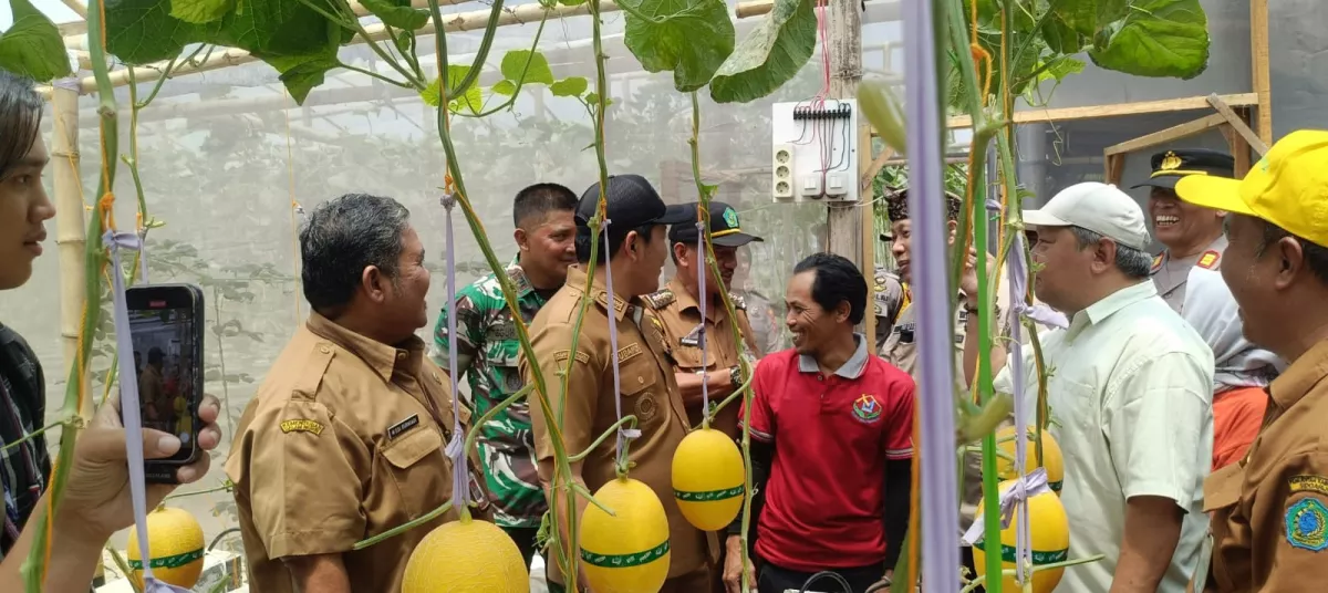 Danramil Krian Dampingi Bupati, Dorong Potensi Pertanian Desa Sidorejo